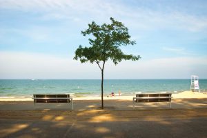 Lake Michigan Resort Community